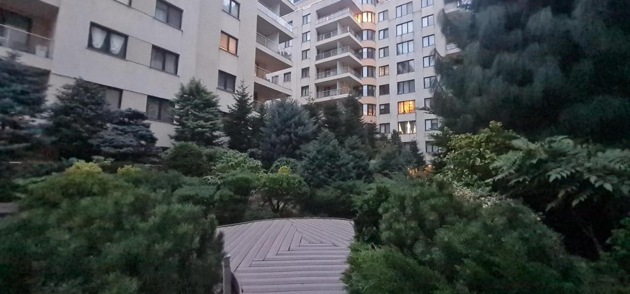 בוקרשט Garden Oasis Studio מראה חיצוני תמונה